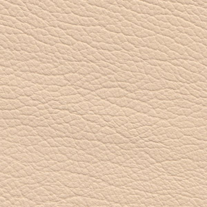 Leather Buffalo colour Cream