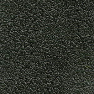 Leather Buffalo colour Green