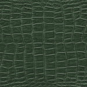 Leather Crocodile colour Green
